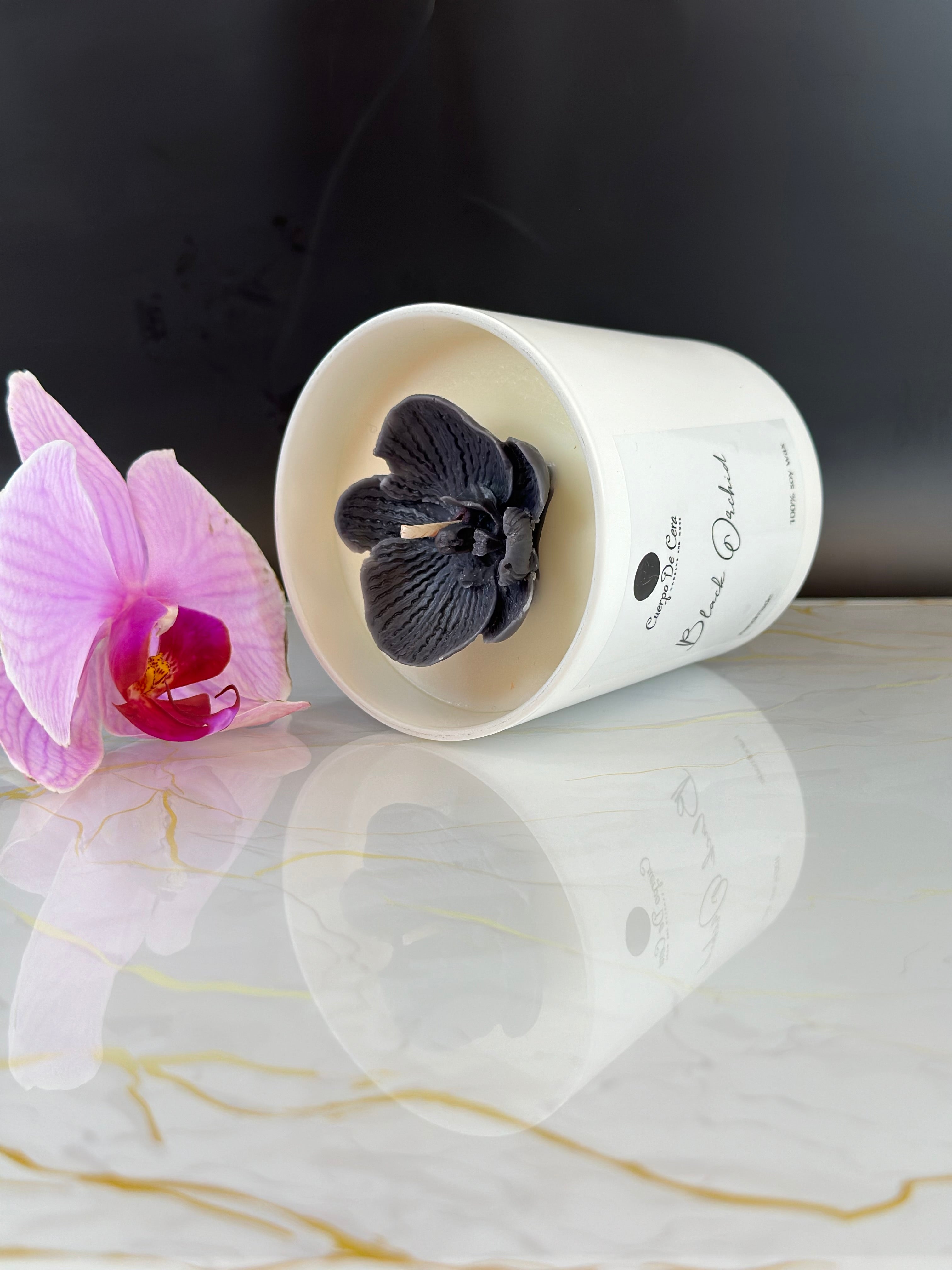 BLACK ORCHID